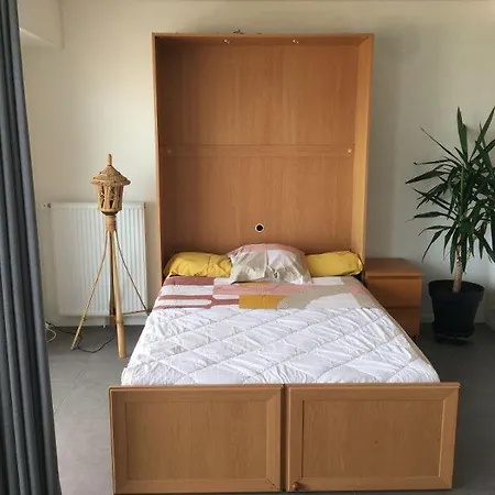 Apartamento Sables D'or - Vue Ocean