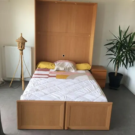 Sables D'or - Vue Ocean Apartamento *