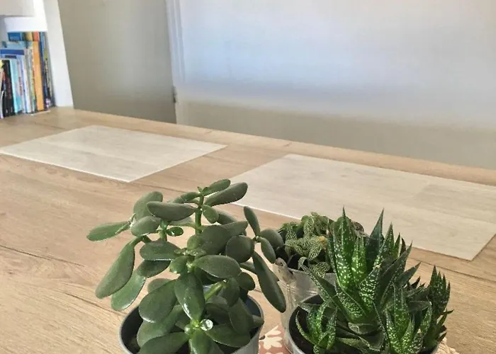 Lejlighed Sables D'or - Vue Ocean *